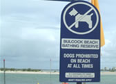 No dogs