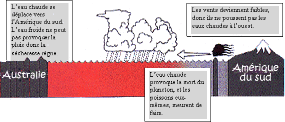 El Nino - en temps d'el Nino