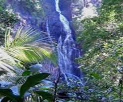kondalilla falls