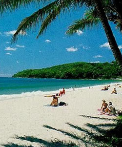 Noosa Beach