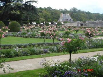 Gardens at Chenonceau
