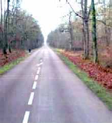 Entry road to Chambord