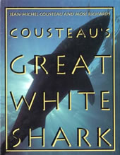 Shark movie poster