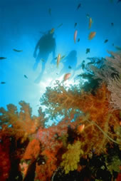 Underwater
