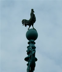 Close up of le coq on bridge