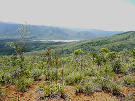 mountains in south