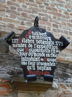 plaque