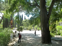 Botanical Gardens Montpellier